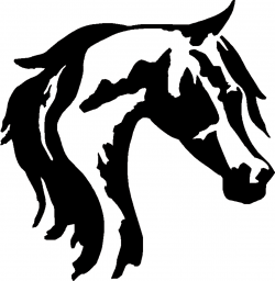250x256 Horse Clipart Horse Head, Picture