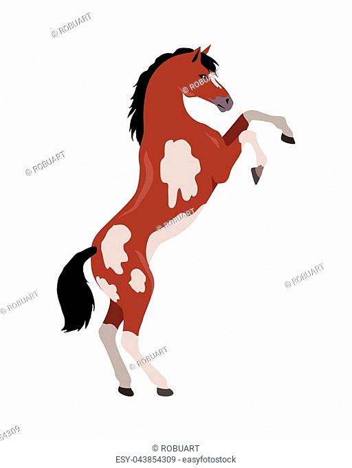 512x680 horse hind leg stock photos and images age fotostock