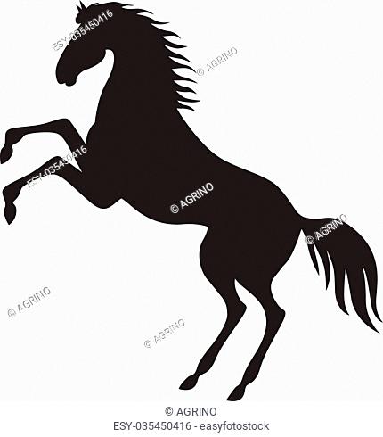 430x490 stallion standing hind legs stock photos and images age fotostock