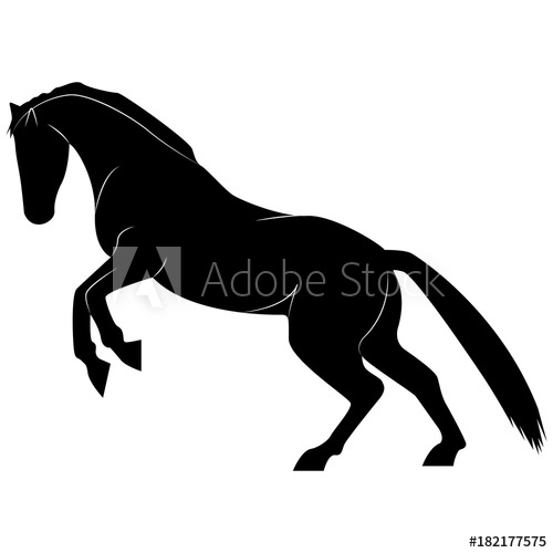 500x500 vector image of a silhouette of a horse standing on the hind legs