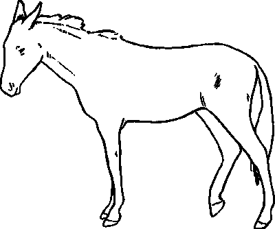 400x334 Dfid Livestock Husbandry Library