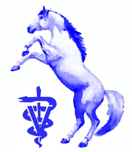 265x305 determining hind leg lameness douglas novick dvm