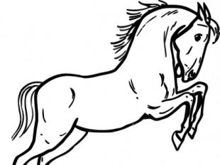 310x233 Horse Outline Drawings Free Vectors Ui Download