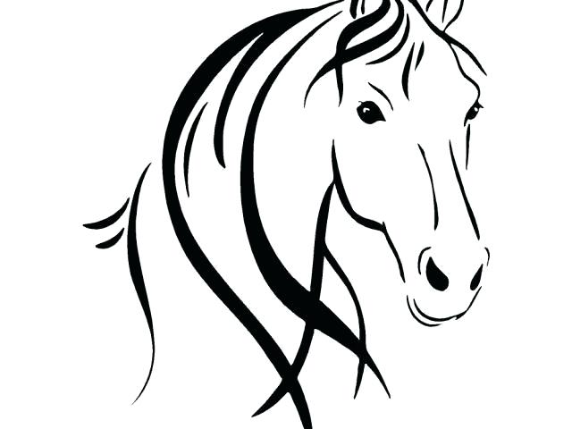 640x480 Outline Of Horse Printable Outline Of Horse Head Printable