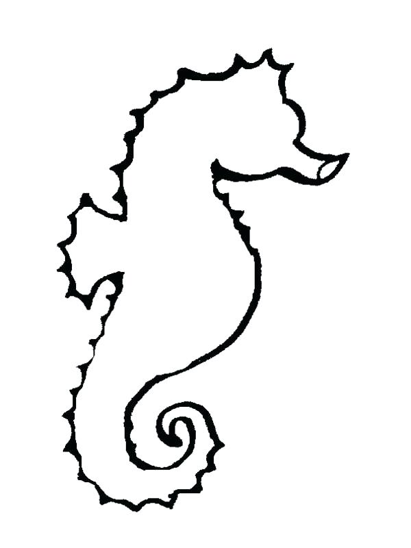 600x800 Seahorse Drawing Outline At Free For Personal Use Ocean Classroom