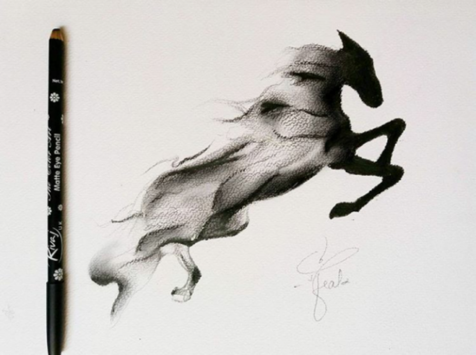 940x701 Eye Pencil Horse