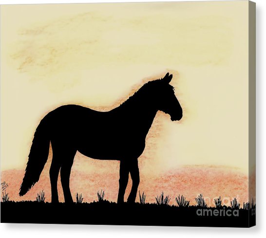 546x489 Horse Pencil Drawing Canvas Prints