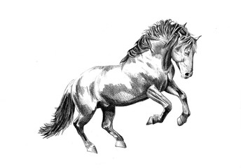 344x240 Search Photos