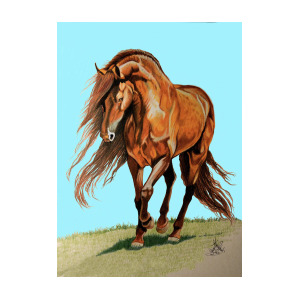 300x300 Spanish Barb In Color Pencil Drawing