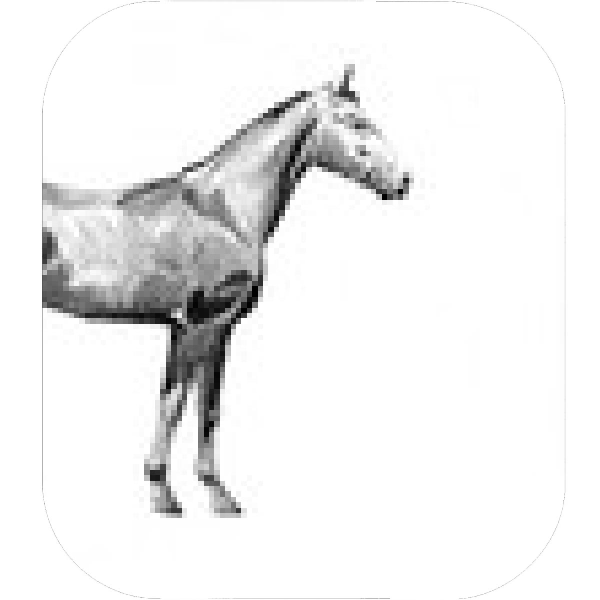 1200x1200 Designs Mein Mousepad Design Mousepad Selbst Designen