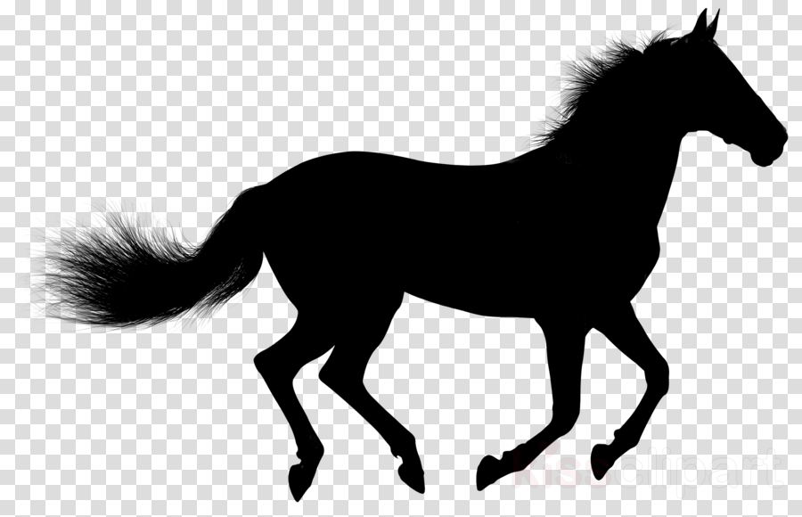 900x580 Horse, Drawing, Silhouette, Transparent Png Image Clipart Free