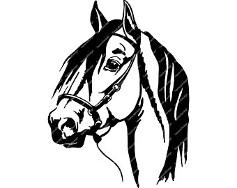 340x270 Horse Head Drawing Etsy