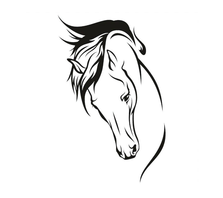 900x800 How Do You Draw A Horse How To Draw A Horse Easy Step How
