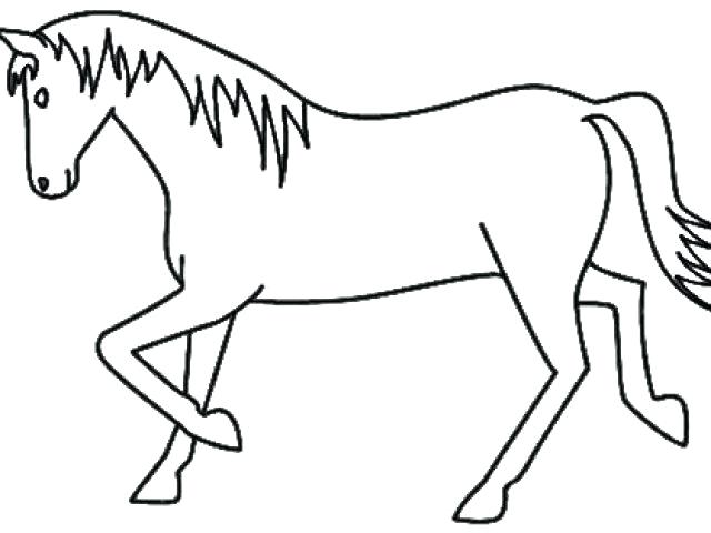 640x480 How Do You Draw A Horse