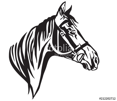 500x429 Decorative Portrait Of Horse In Profile Vector Illustration