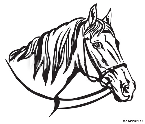 500x429 Decorative Portrait Of Horse Vector Illustration