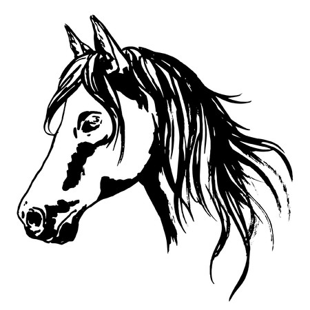 450x450 Horse Head Painted Portrait With Raising Main Hand Painted