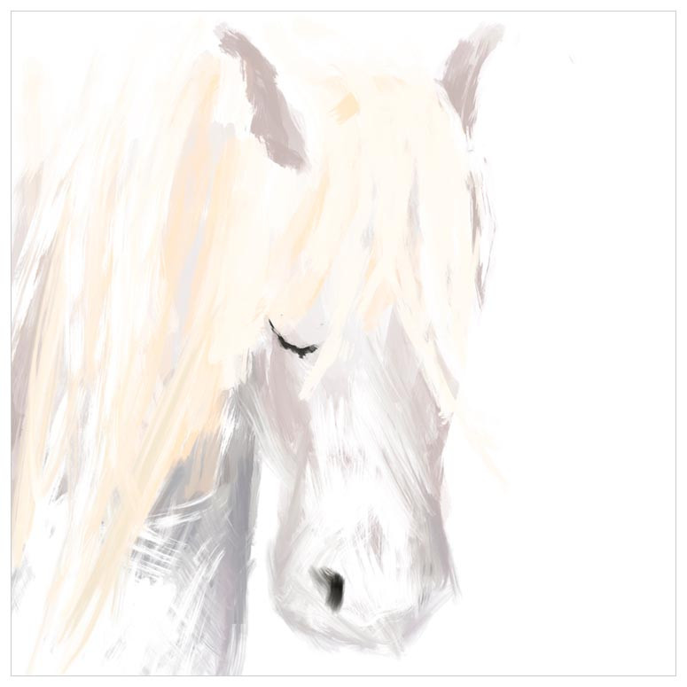 775x775 Sweet Animal Portrait