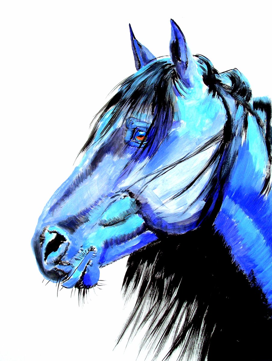 905x1200 Steve Messenger On Twitter Dark Horse