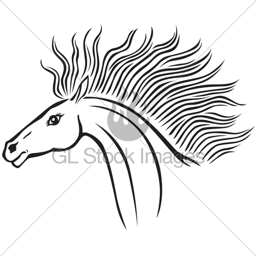 500x500 Horse Head Gl Stock Images