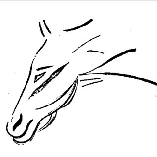 320x320 Horse And Rider