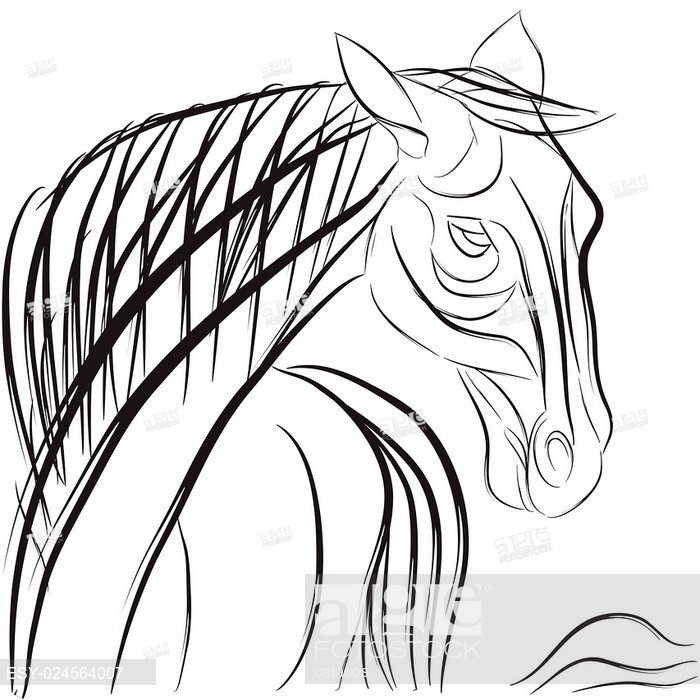 700x700 Horse Head Profile With Mane And Tail, Hand Drawn Sketch