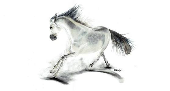 557x300 Jo Mckinney Saatchi Art