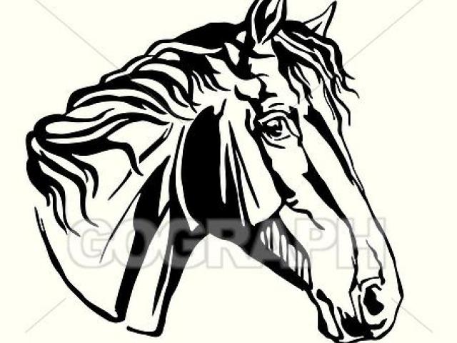 640x480 Profile Clipart Horse Mane