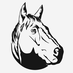 300x300 Horse Profile Royalty Free Illustrations