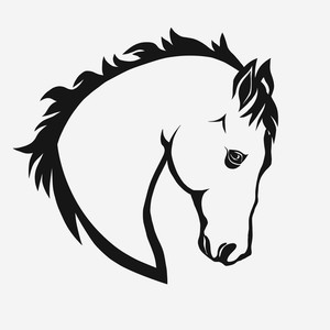 300x300 Horse Profile Royalty Free Vectors