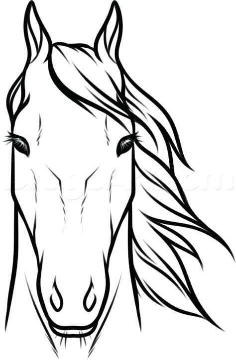 474x724 How Do You Draw A Horse Head