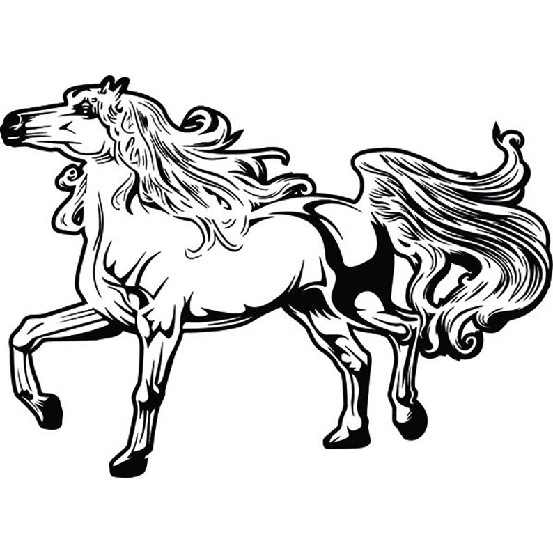 794x794 Horse Stallion Equestrian Racing Racehorse Jockey Animal Etsy