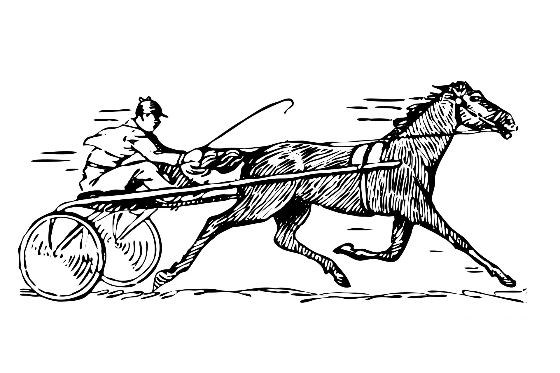 1920x1279 Horse Racing Clipart Illustration Free Stock Photo
