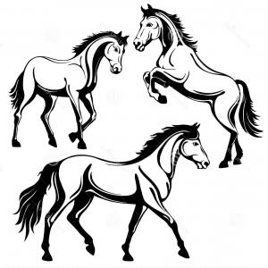 300x300 Stock Illustration Horse Vector Illustration Horse Racing Soidergi