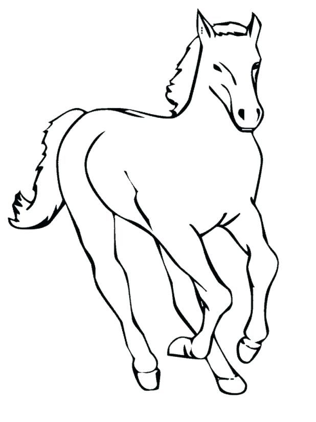 618x824 Coloring Pages Of A Horse