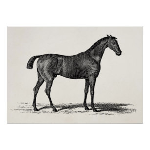 307x307 Black And White Horse Racing Art Wall Zazzle
