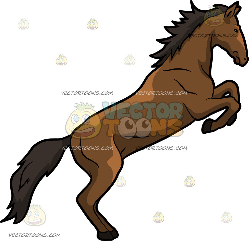 1024x992 Horse Rearing Up And Man Clipart Clip Art Images