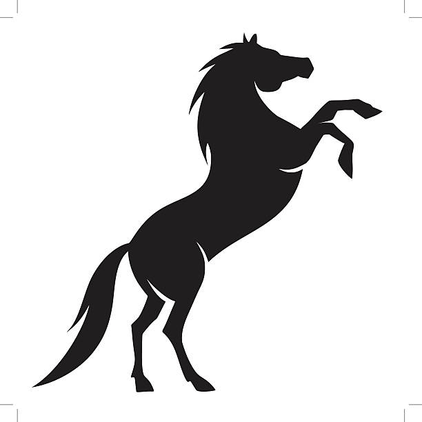 612x612 Horse Rearing Up Clipart