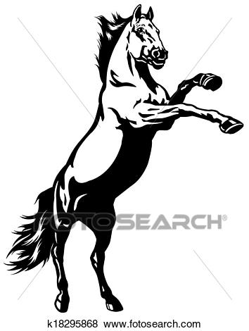 354x470 Horse Rear Fun Pics Images