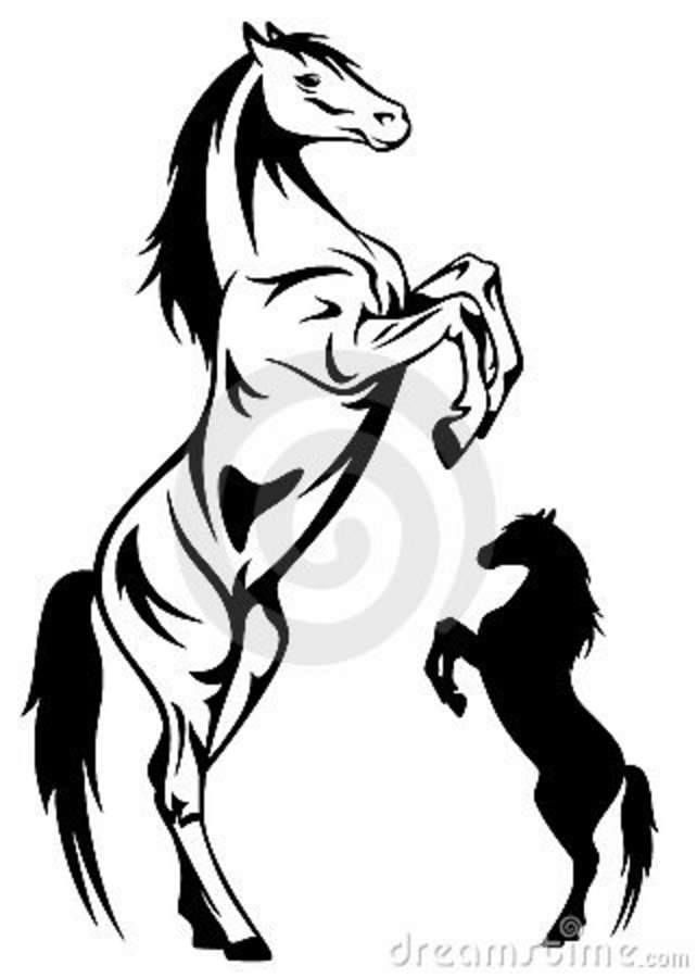 642x900 Stickers Horse Stencil, Horse Drawings