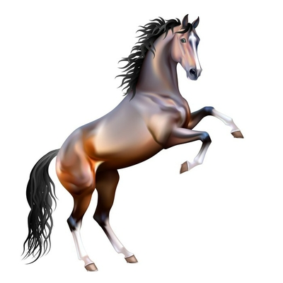 400x400 Vector Realistic Bay Horse Rearing Up Isolated Wall Decal Pixers