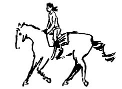 244x179 Farilya Stables Horse Riding