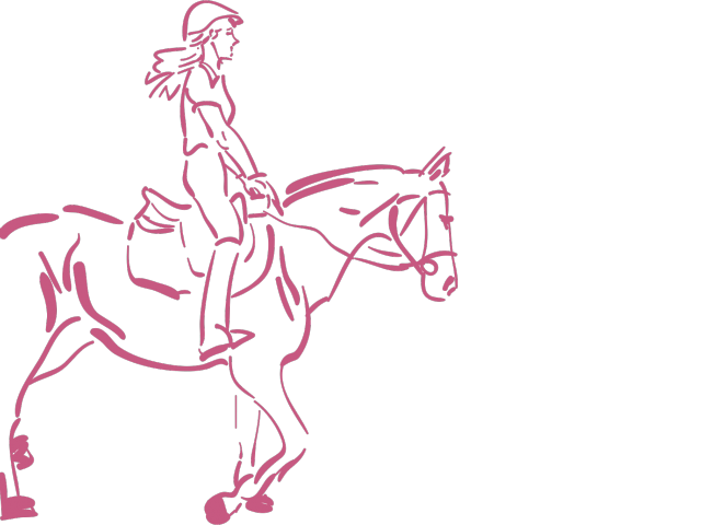 640x480 Horse Riding Clipart Sketch Horse