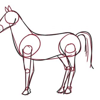 336x336 How To Draw A Baby Horse Easy Girl Riding Cowboy On Youtube Body
