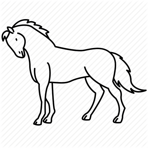 512x512 Mammal Drawing Horse Transparent Png Clipart Free Download