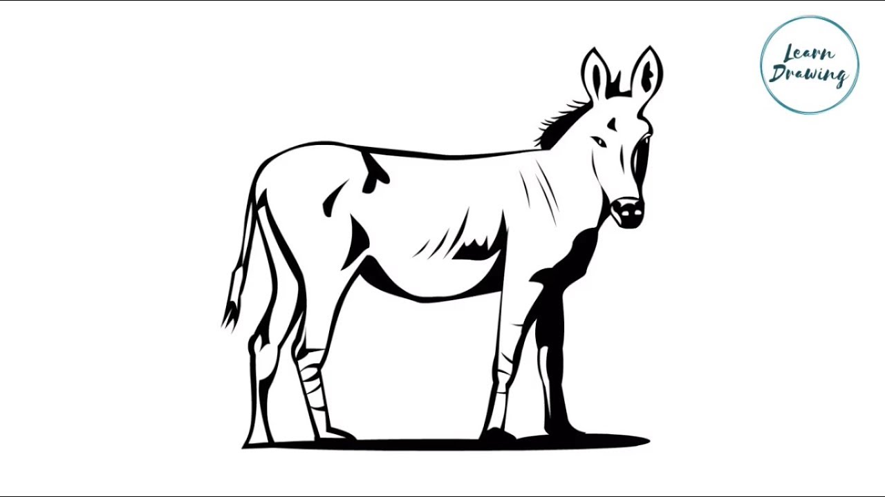 1280x720 How To Draw A Horse Step