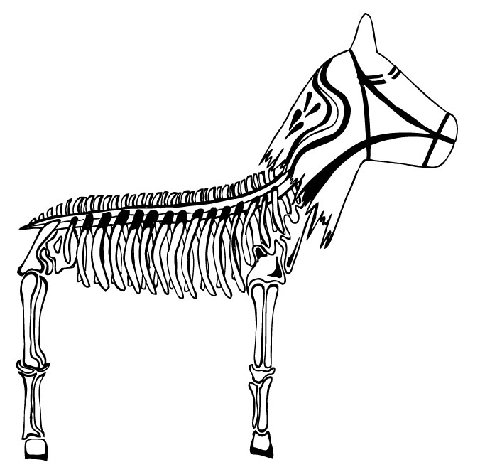 676x664 Jonas Claesson