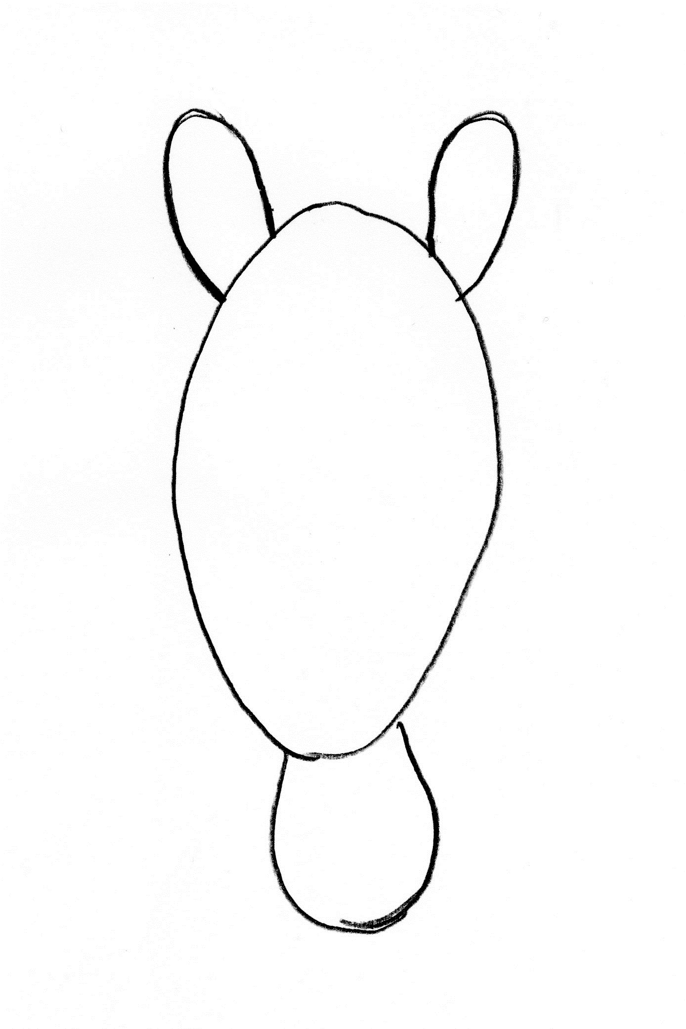 1388x2082 Horse Drawing Step