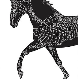 260x264 Horses Inside Out