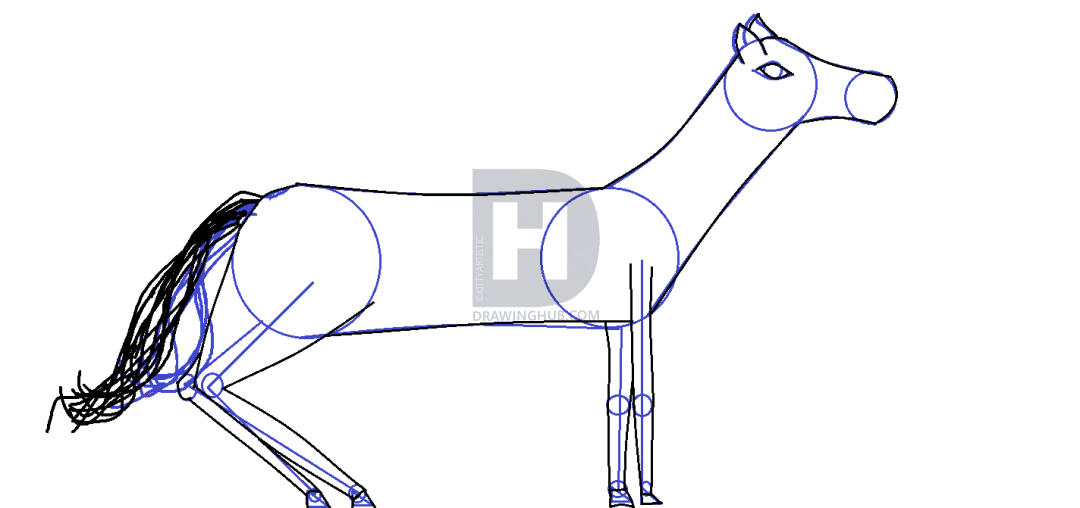 1080x508 How To Draw Horses, Step